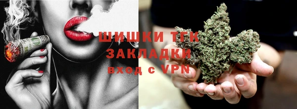 стаф Богданович