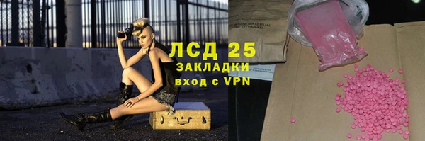 стаф Богданович