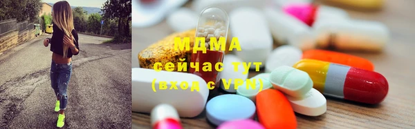 стаф Богданович