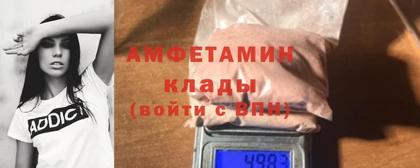 стаф Богданович