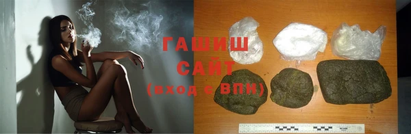 стаф Богданович