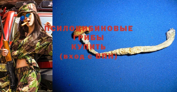 стаф Богданович