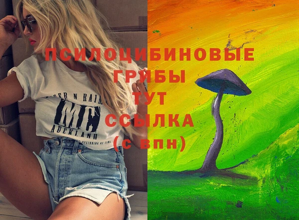 ешки Богородск